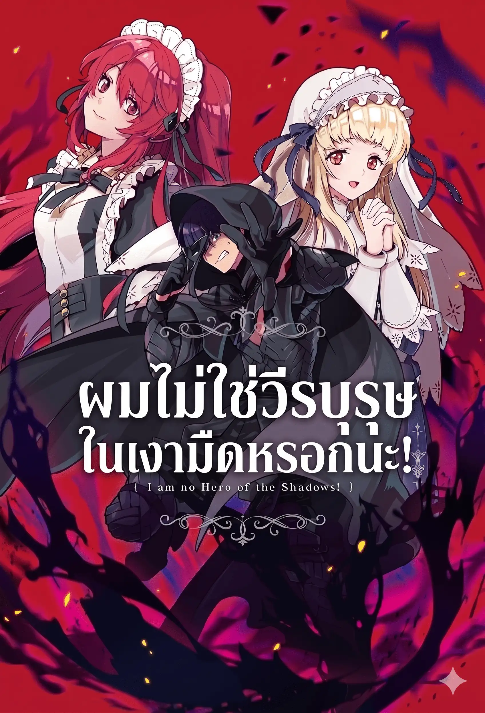 ผมไม่ใช่วีรบุรุษในเงามืดหรอกนะ